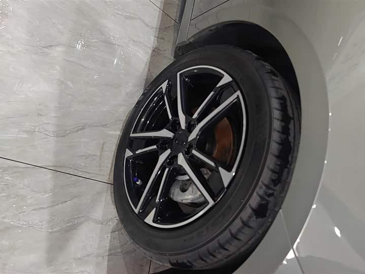 Фото 6 - Geely Binrui