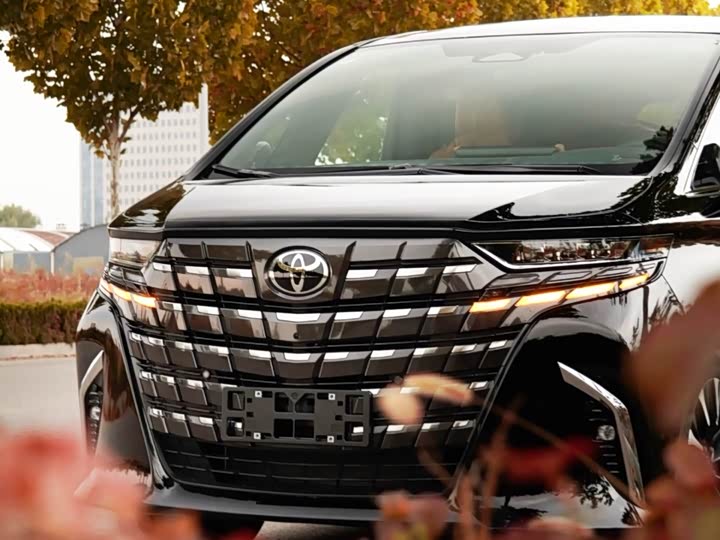 Фото 6 - Toyota Alphard