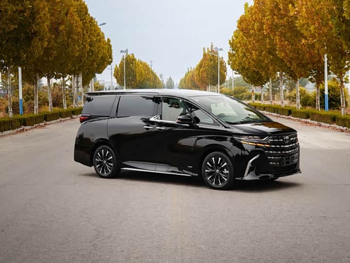 Фото 7 - Toyota Alphard