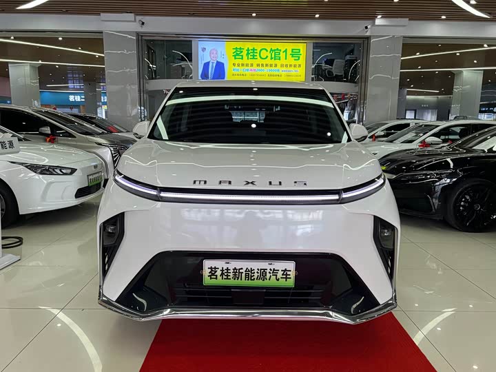 Фото 2 - Maxus Mifa 9