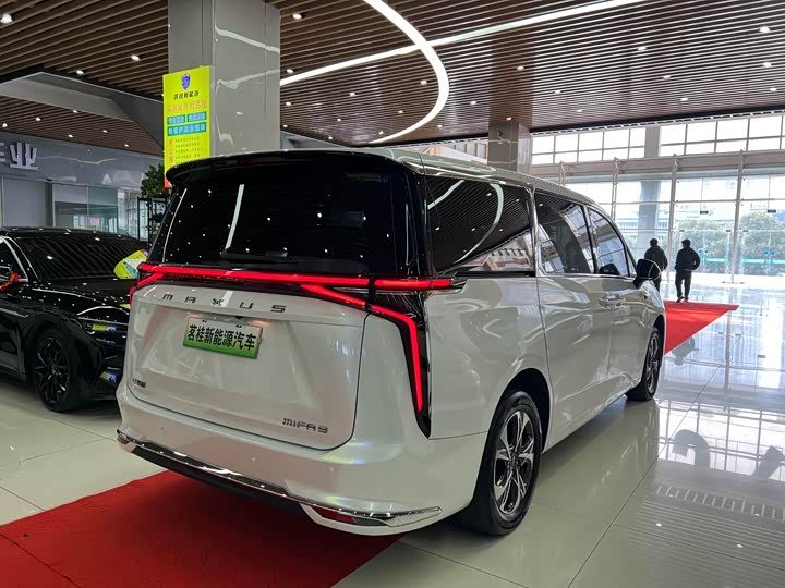 Фото 6 - Maxus Mifa 9