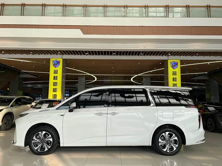 Фото 7 - Maxus Mifa 9