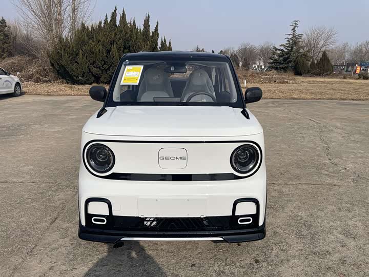 Photo 2 - Geely Galaxy Panda Mini