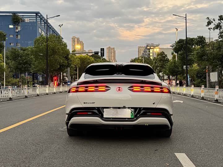 Photo 5 - Denza Z9GT