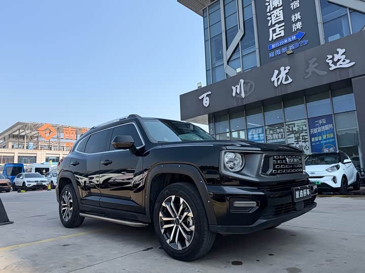 Фото 3 - Haval H-Dog