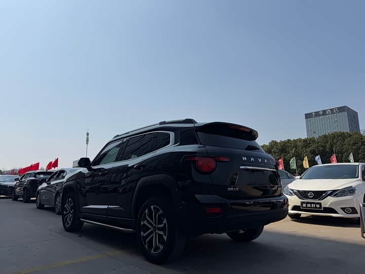 Фото 4 - Haval H-Dog
