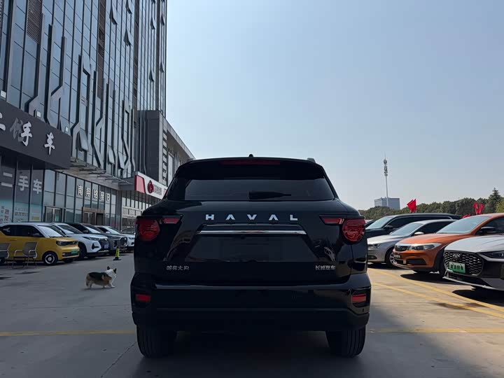 Фото 5 - Haval H-Dog