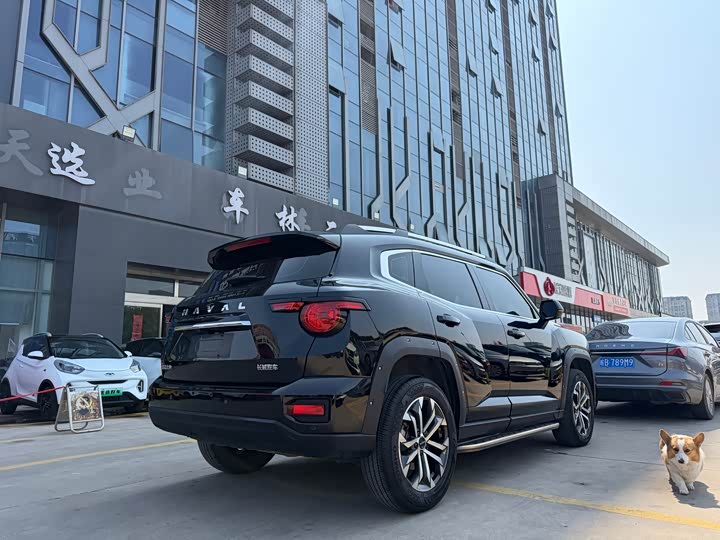 Фото 6 - Haval H-Dog