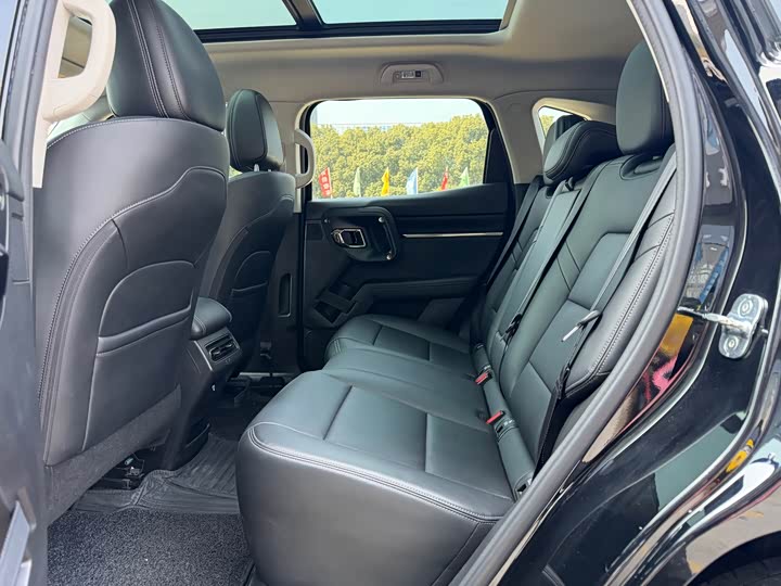 Фото 8 - Haval H-Dog