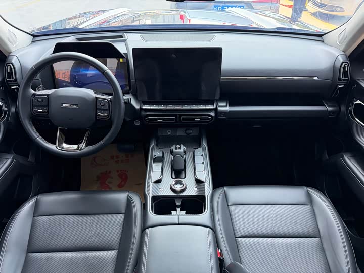 Фото 9 - Haval H-Dog