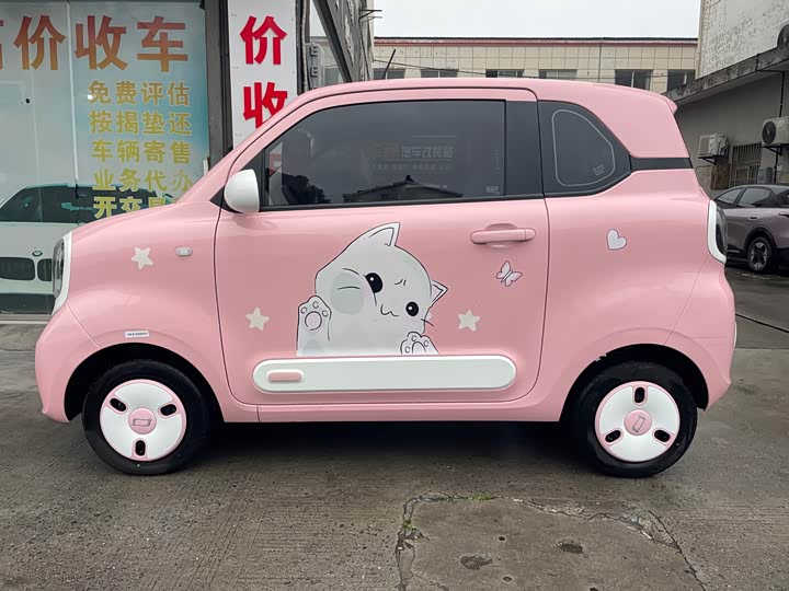 Фото 4 - Bestune Pony