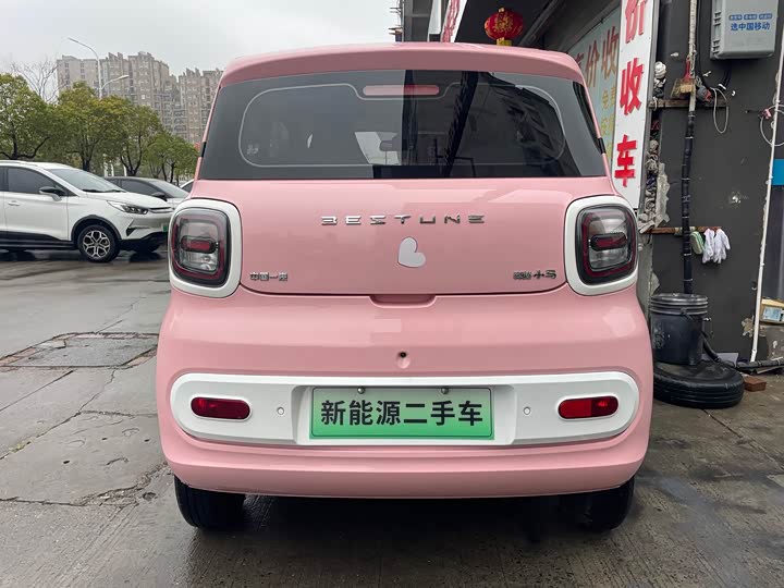 Фото 6 - Bestune Pony