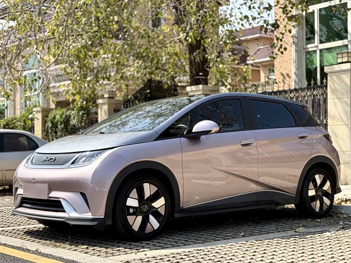 Фото 1 - BYD Dolphin