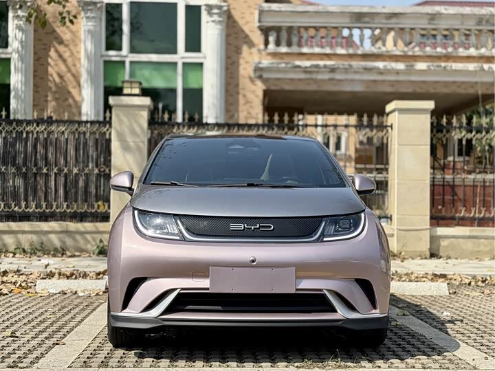 Фото 2 - BYD Dolphin