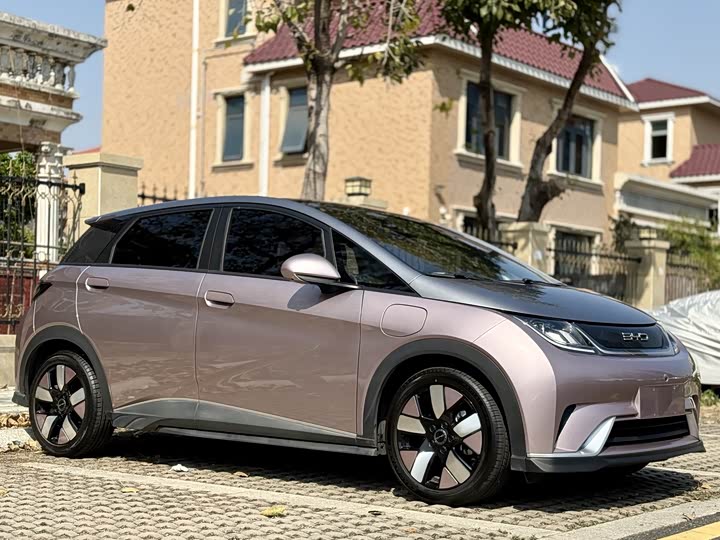 Фото 3 - BYD Dolphin