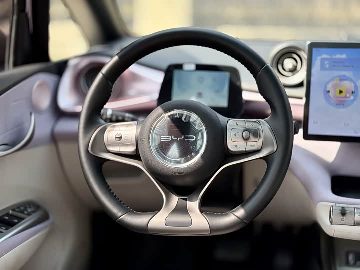 Фото 7 - BYD Dolphin