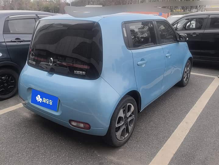 Photo 3 - Ora White Cat