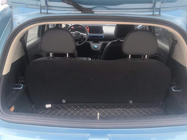 Photo 4 - Ora White Cat