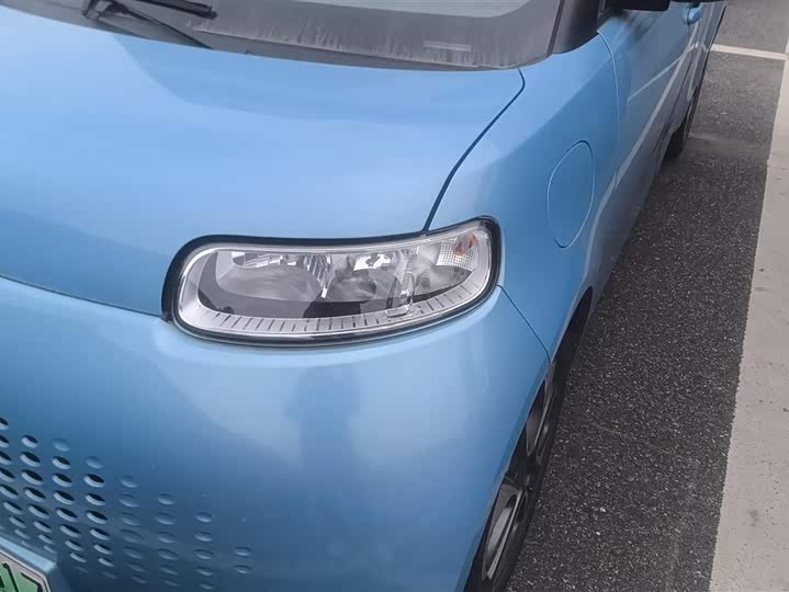 Photo 5 - Ora White Cat