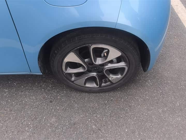 Photo 6 - Ora White Cat