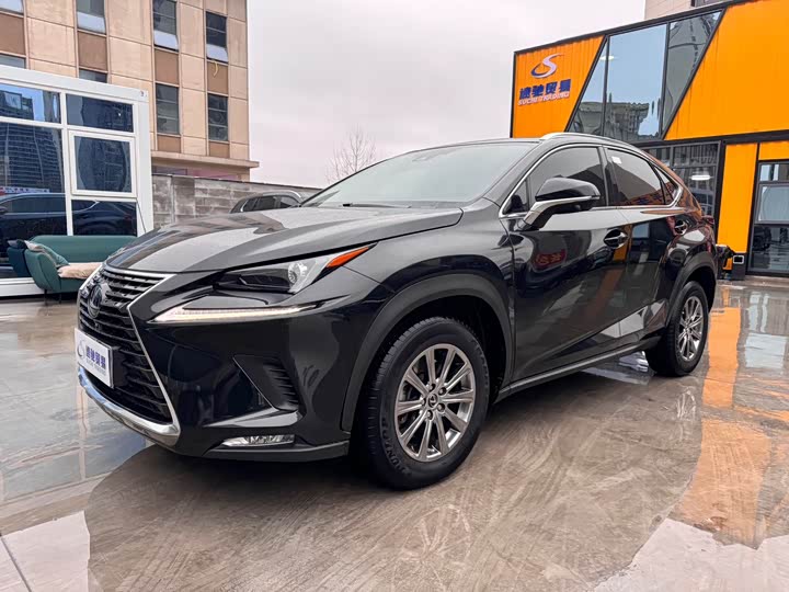 Фото 1 - Lexus NX