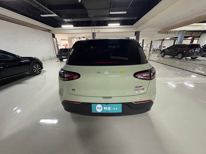 Фото 5 - Geely Galaxy Geome