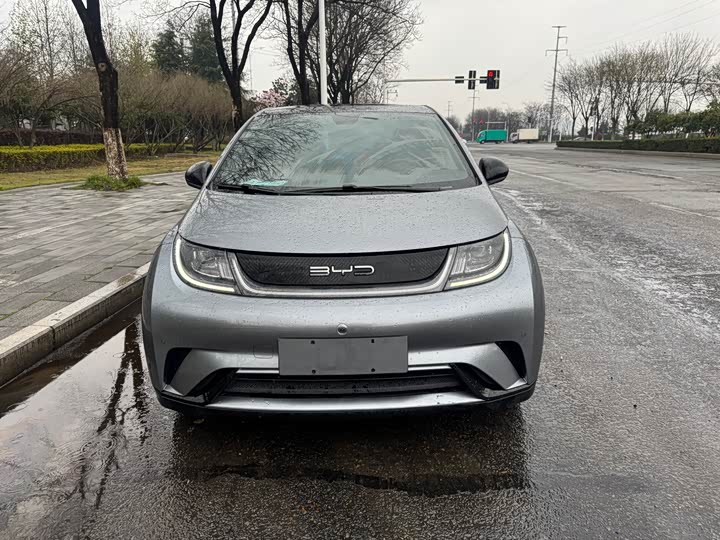 Фото 1 - BYD Dolphin