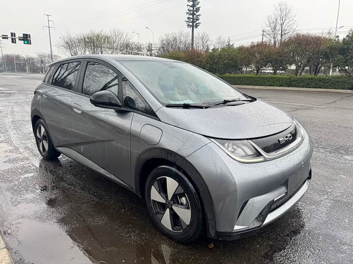 Фото 3 - BYD Dolphin