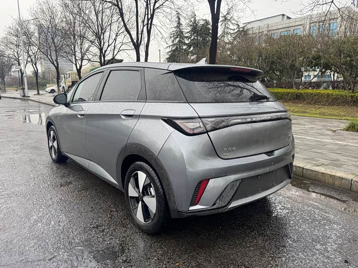 Фото 8 - BYD Dolphin