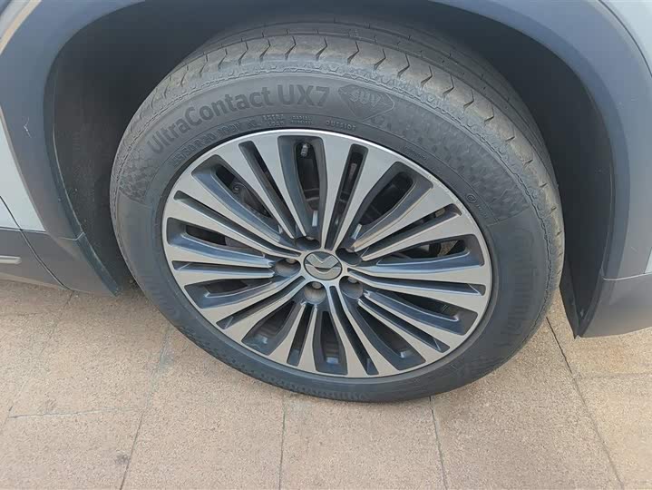 Фото 6 - Nio EC6