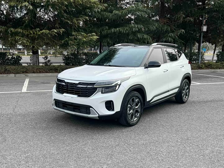 Фото 1 - Kia Seltos