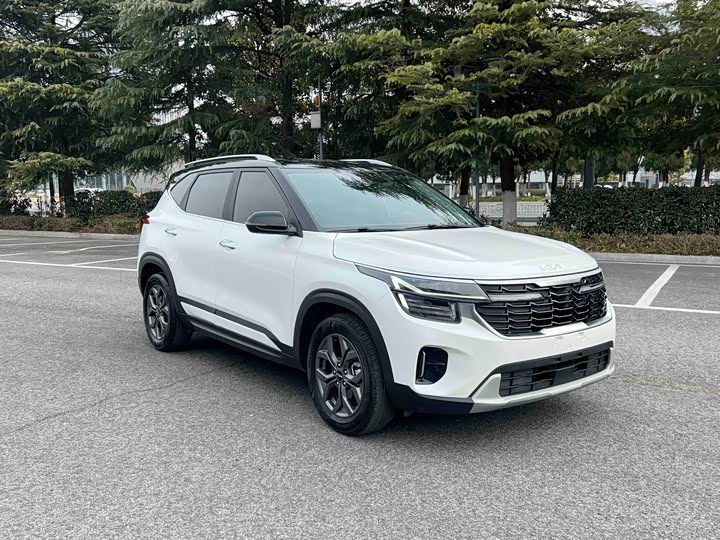 Фото 2 - Kia Seltos