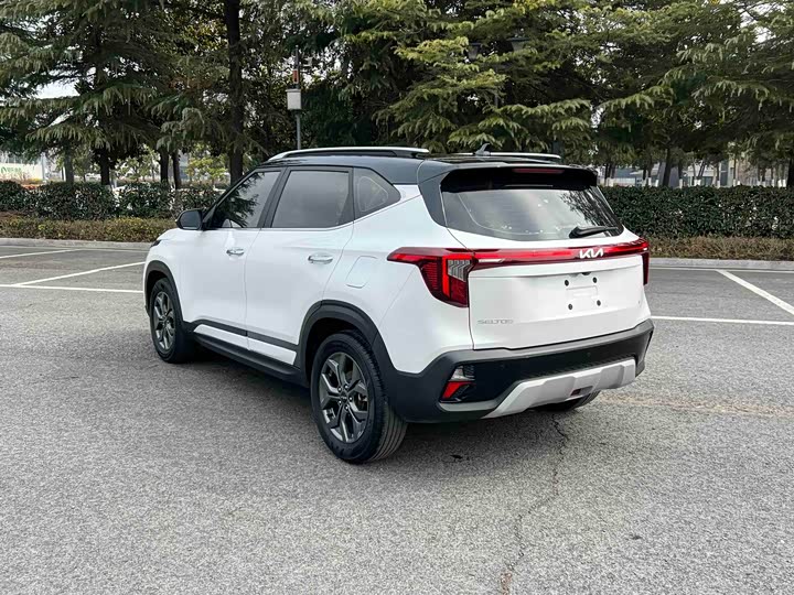 Фото 4 - Kia Seltos