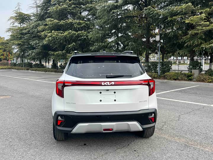 Фото 5 - Kia Seltos