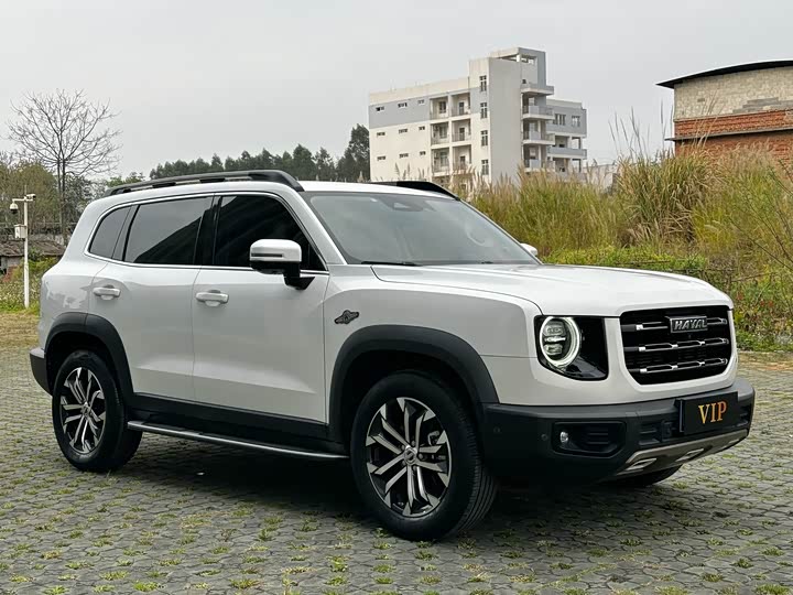 Photo 3 - Haval Dargo