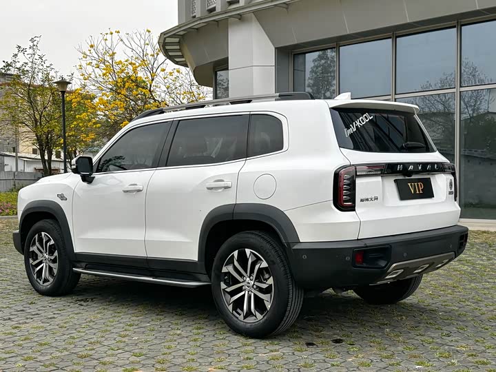 Photo 4 - Haval Dargo