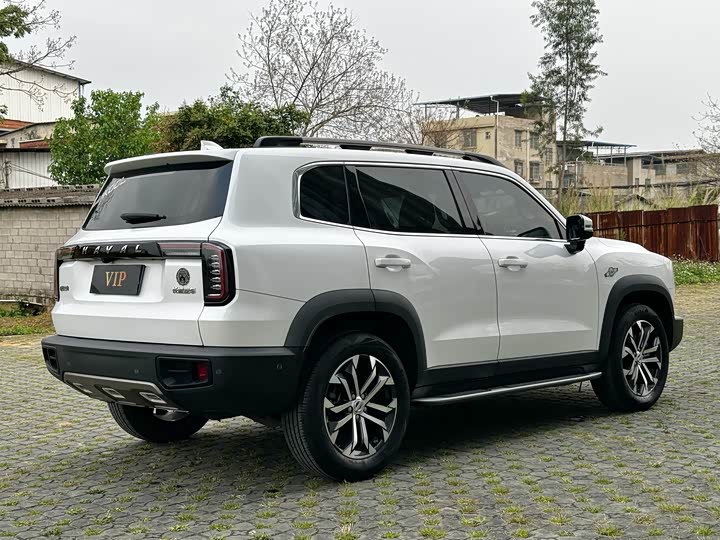 Photo 6 - Haval Dargo