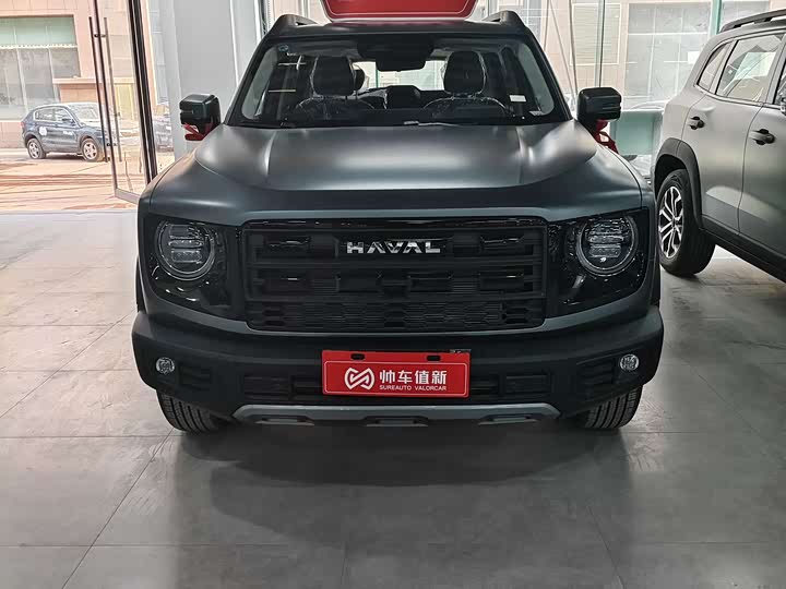 Фото 2 - Haval Dargo