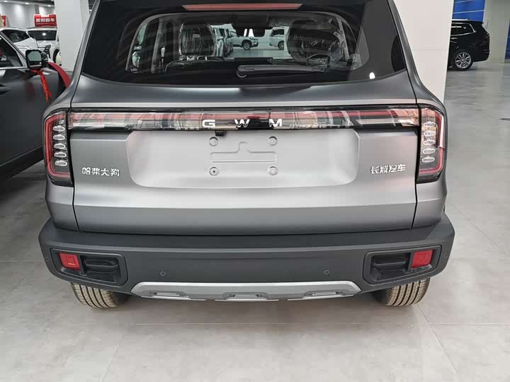 Фото 5 - Haval Dargo