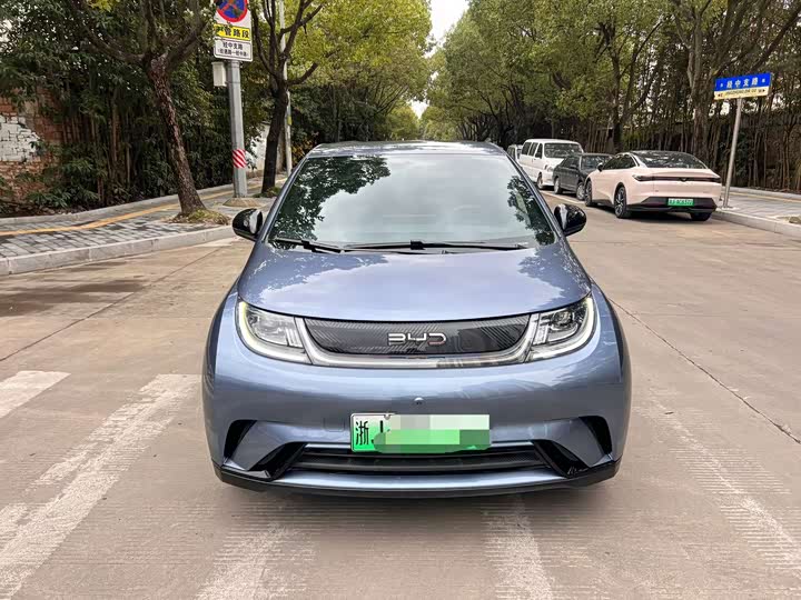 Фото 2 - BYD Dolphin