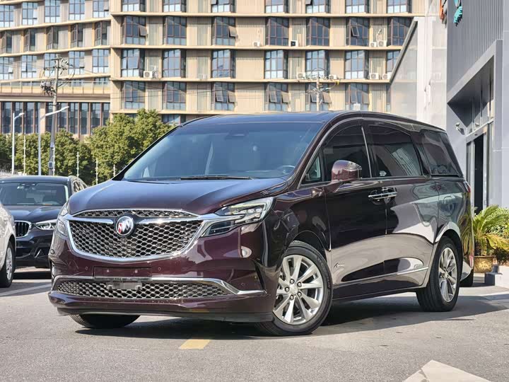 Фото 1 - Buick GL8 ES