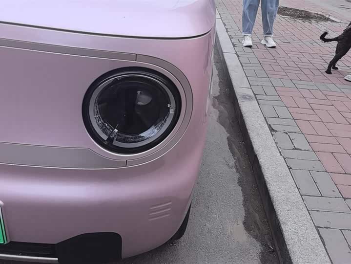 Photo 5 - Geely Galaxy Panda Mini