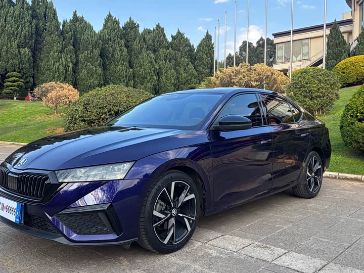 Фото 1 - Skoda Octavia Pro