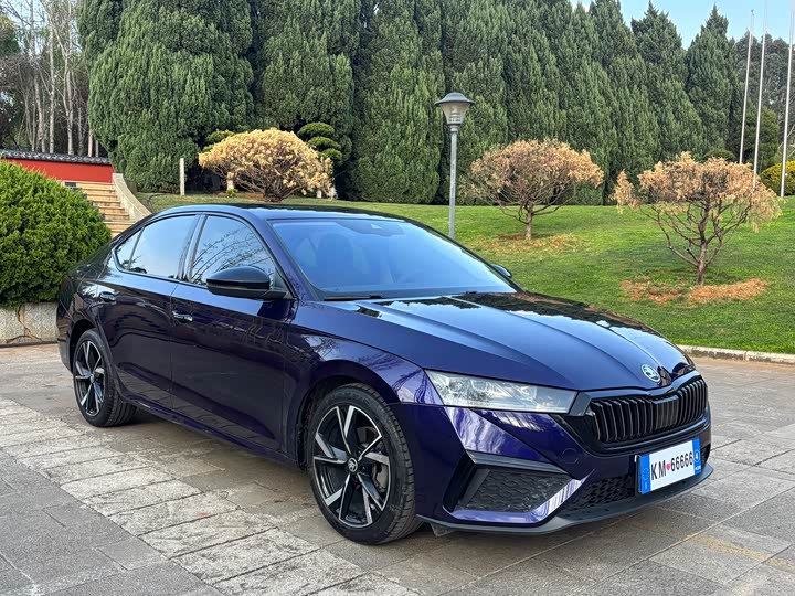 Фото 2 - Skoda Octavia Pro