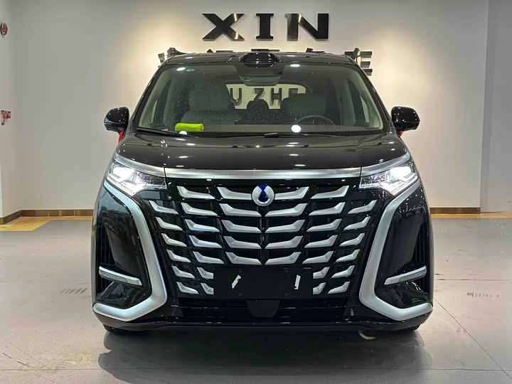 Фото 1 - Denza D9