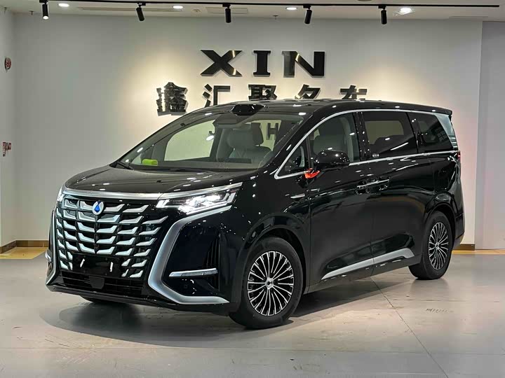 Фото 2 - Denza D9