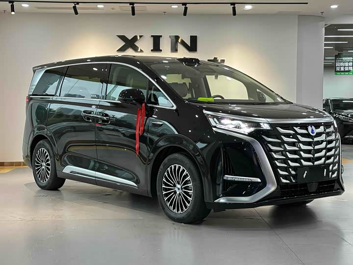 Фото 3 - Denza D9