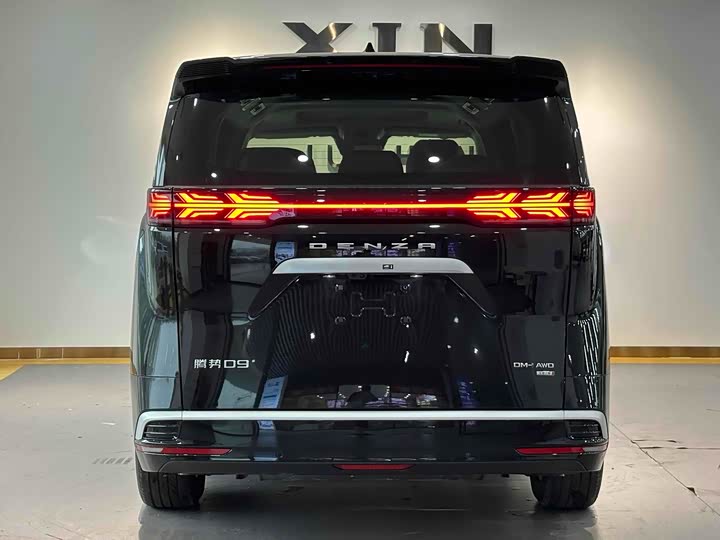 Фото 5 - Denza D9