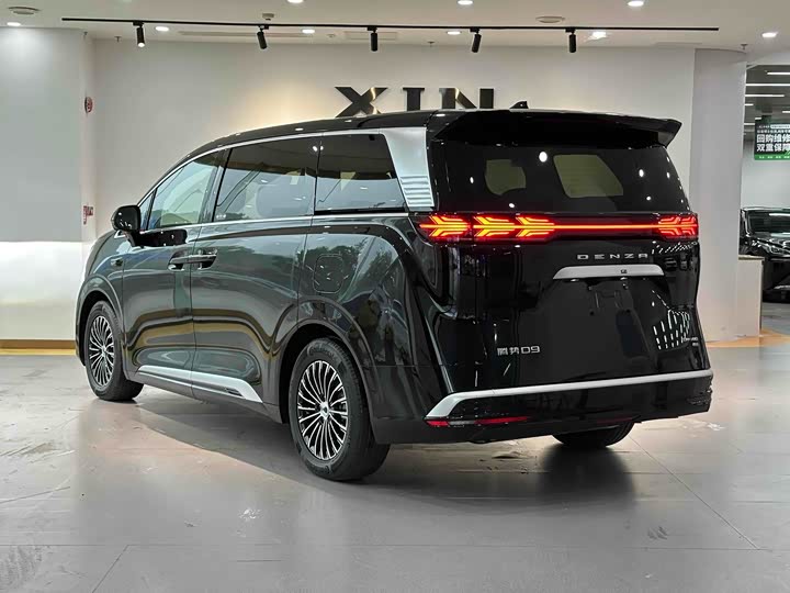 Фото 6 - Denza D9