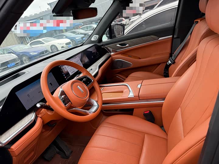 Фото 4 - Wey Lanshan